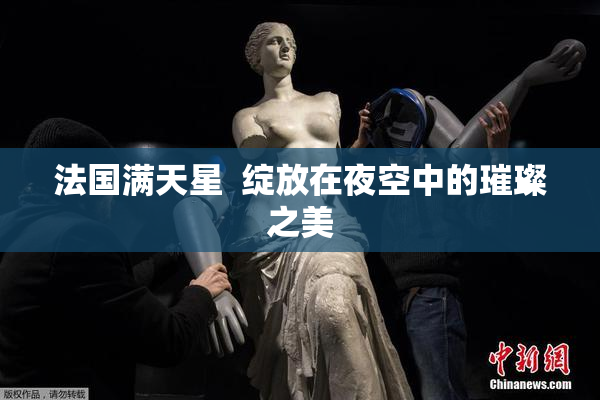 法国满天星  绽放在夜空中的璀璨之美