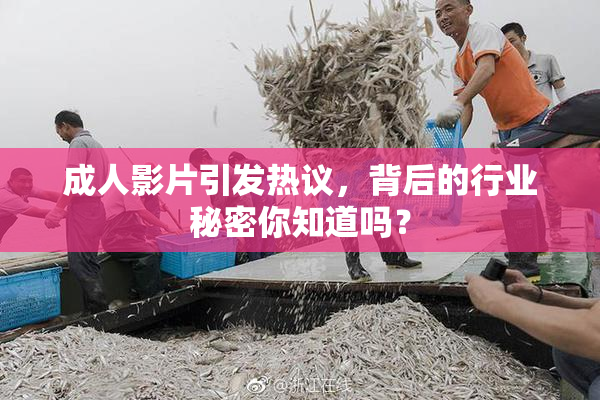 成人影片引发热议，背后的行业秘密你知道吗？