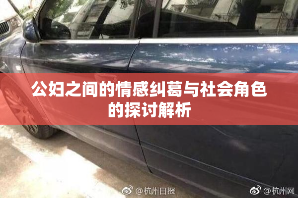 公妇之间的情感纠葛与社会角色的探讨解析