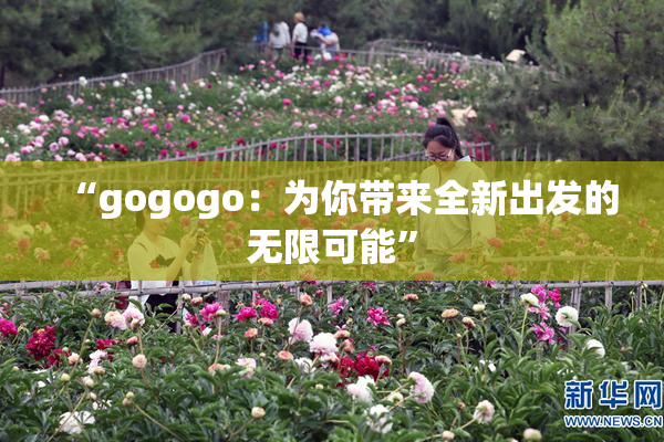 “gogogo：为你带来全新出发的无限可能”