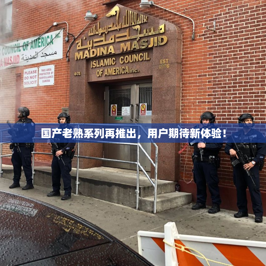 国产老熟系列再推出，用户期待新体验！