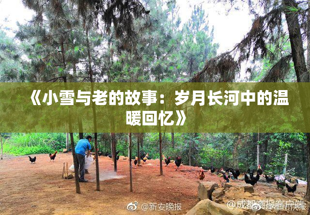 《小雪与老的故事：岁月长河中的温暖回忆》
