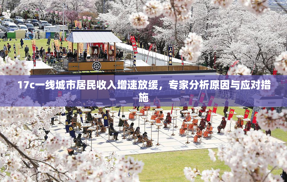 17c一线城市居民收入增速放缓，专家分析原因与应对措施