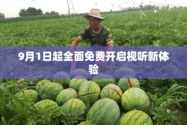 9月1日起全面免费开启视听新体验