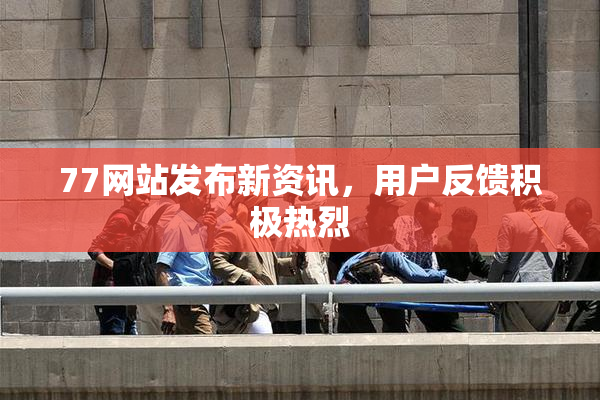 77网站发布新资讯，用户反馈积极热烈