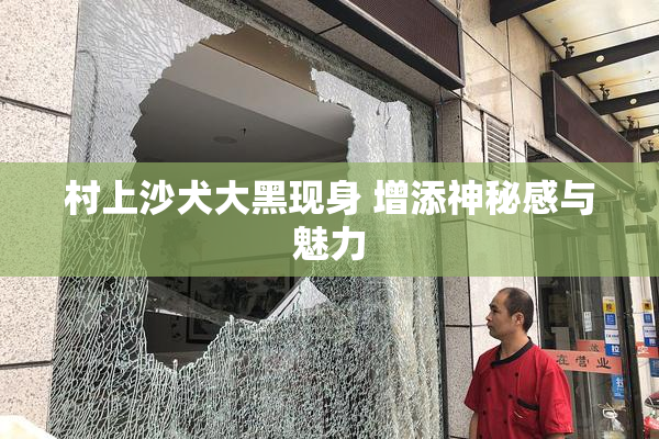 村上沙犬大黑现身 增添神秘感与魅力