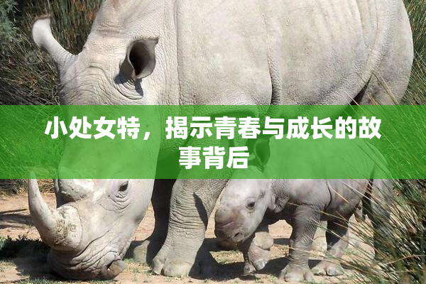 小处女特，揭示青春与成长的故事背后