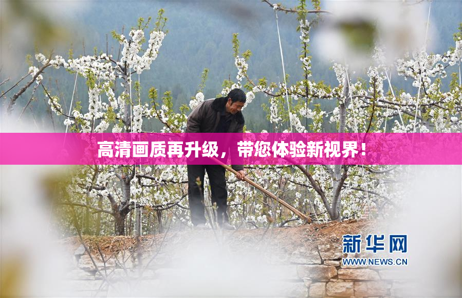 高清画质再升级，带您体验新视界！