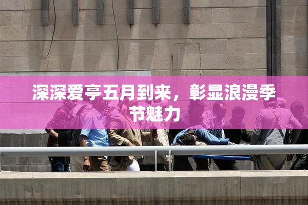深深爱亭五月到来，彰显浪漫季节魅力
