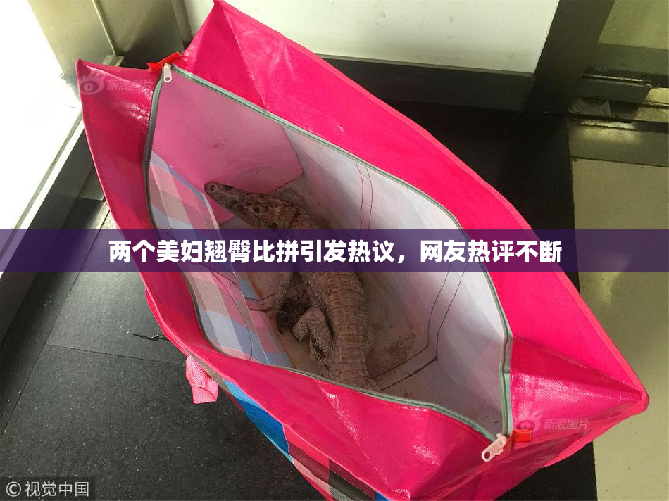 两个美妇翘臀比拼引发热议，网友热评不断