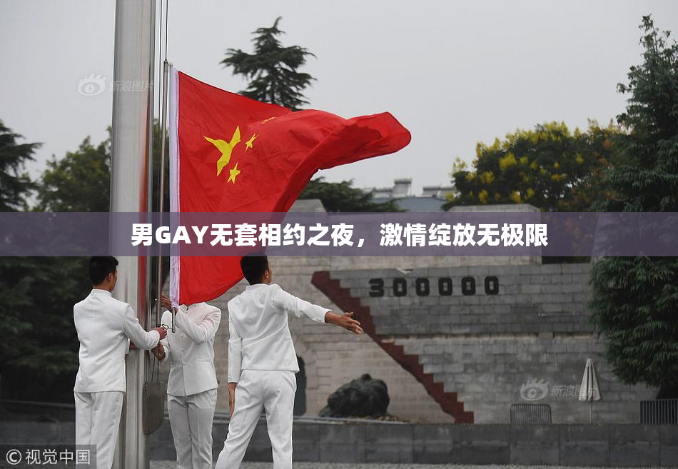 男GAY无套相约之夜，激情绽放无极限
