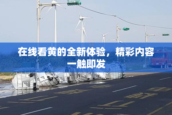 在线看黄的全新体验，精彩内容一触即发