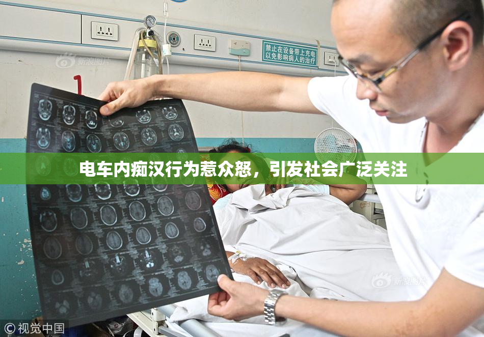 电车内痴汉行为惹众怒，引发社会广泛关注