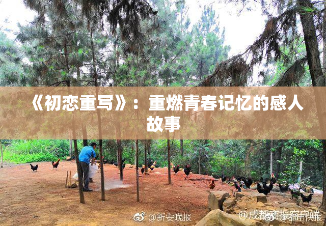 《初恋重写》：重燃青春记忆的感人故事