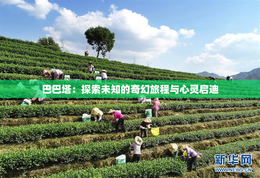 巴巴塔：探索未知的奇幻旅程与心灵启迪