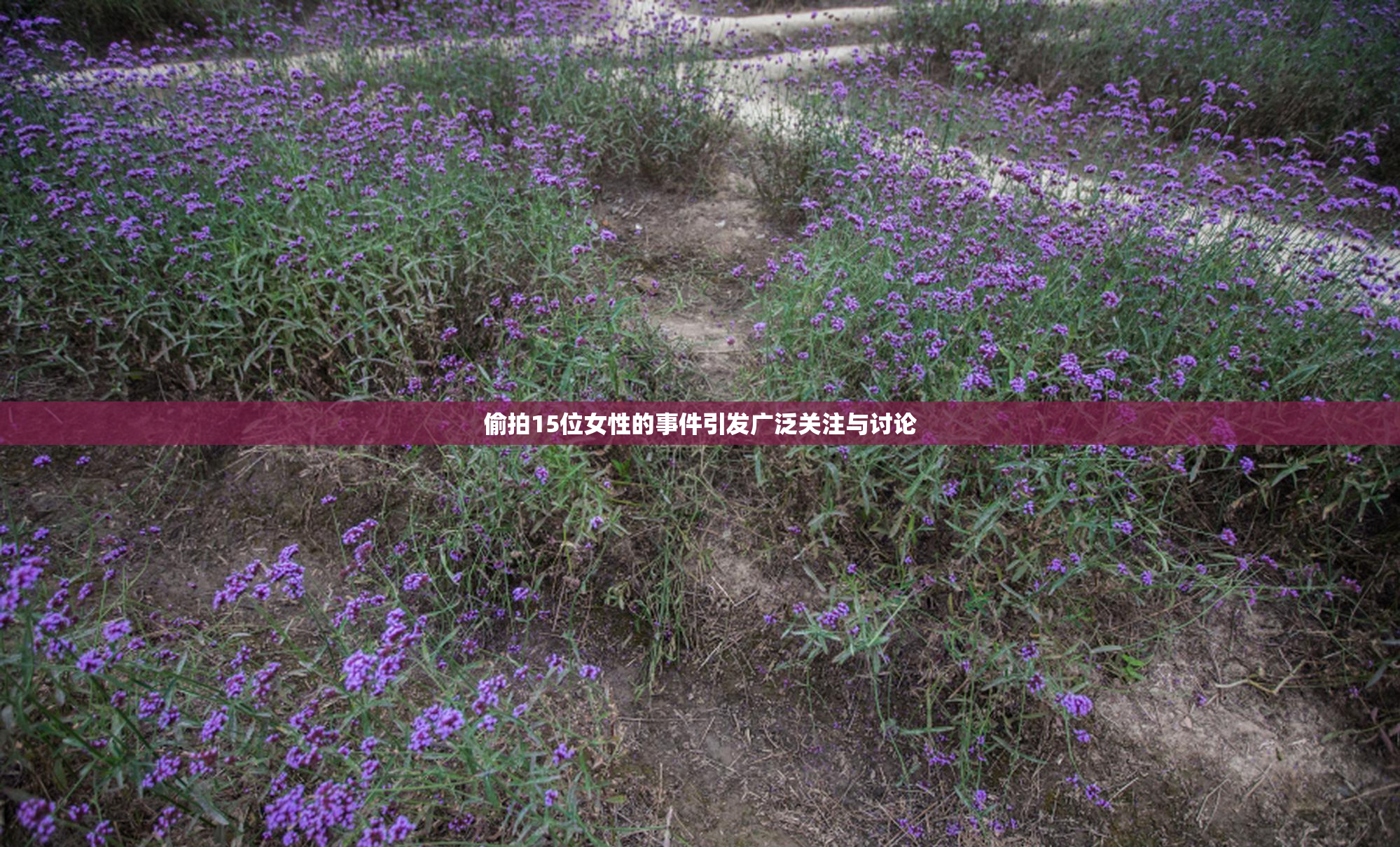 偷拍15位女性的事件引发广泛关注与讨论