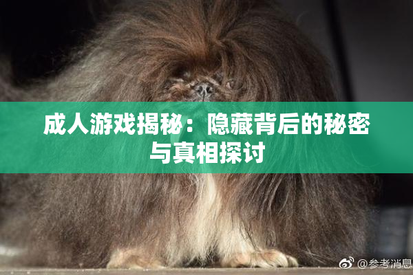 成人游戏揭秘：隐藏背后的秘密与真相探讨