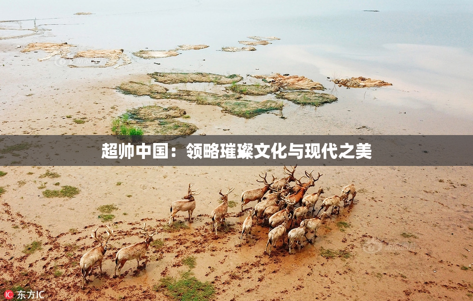 超帅中国：领略璀璨文化与现代之美