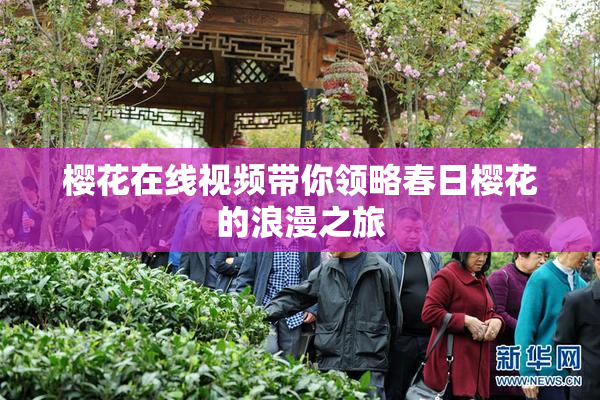 樱花在线视频带你领略春日樱花的浪漫之旅