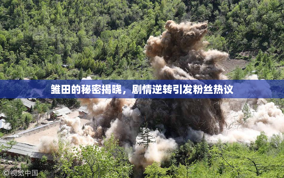 雏田的秘密揭晓，剧情逆转引发粉丝热议