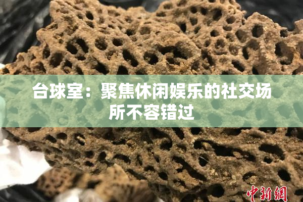 台球室：聚焦休闲娱乐的社交场所不容错过
