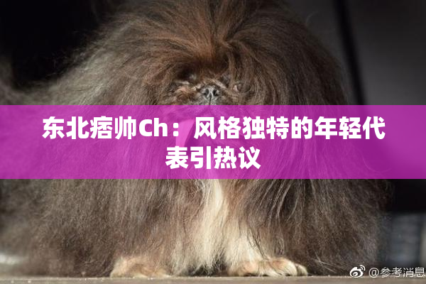 东北痞帅Ch：风格独特的年轻代表引热议