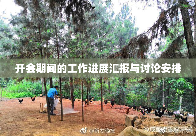 开会期间的工作进展汇报与讨论安排