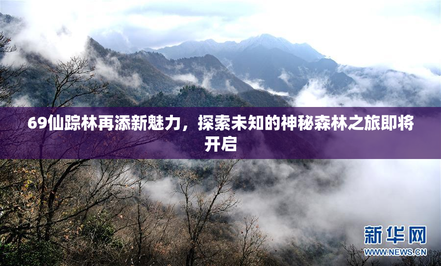 69仙踪林再添新魅力，探索未知的神秘森林之旅即将开启