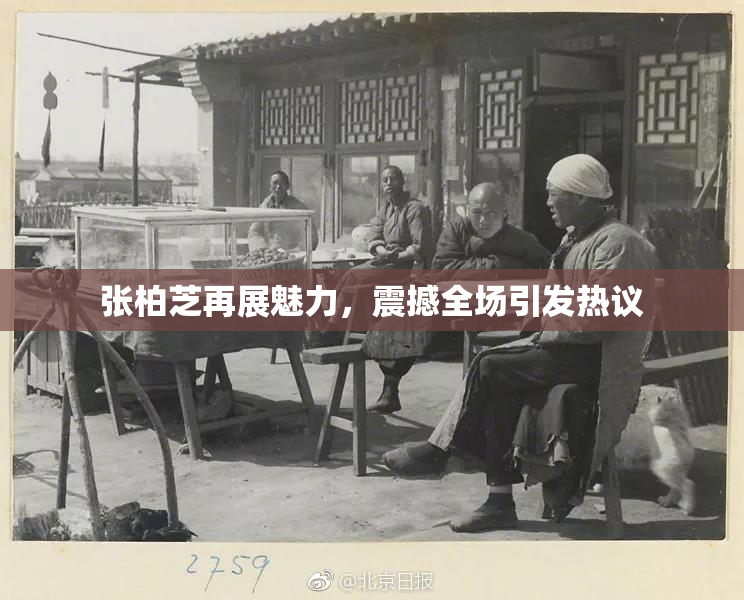 张柏芝再展魅力，震撼全场引发热议