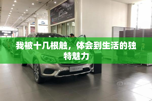 我被十几根触，体会到生活的独特魅力