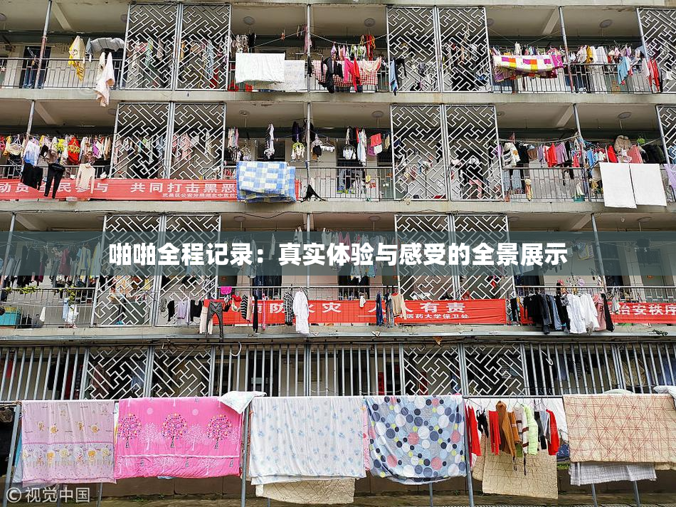 啪啪全程记录：真实体验与感受的全景展示