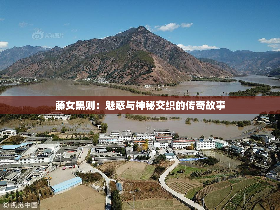 藤女黑则：魅惑与神秘交织的传奇故事