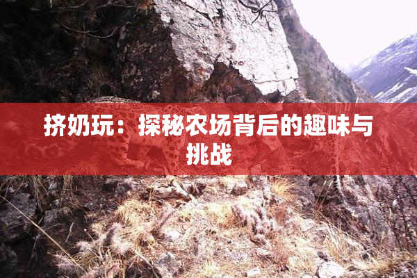 挤奶玩：探秘农场背后的趣味与挑战