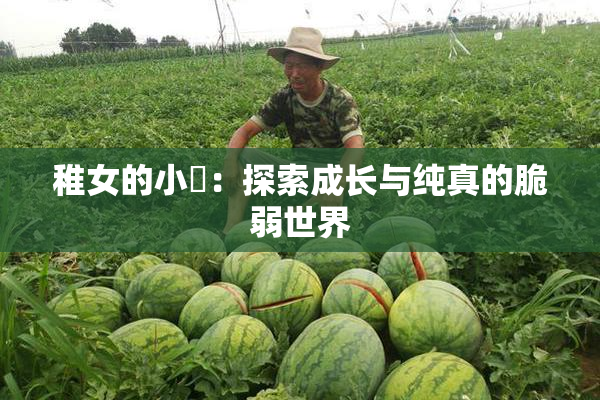 稚女的小泬：探索成长与纯真的脆弱世界