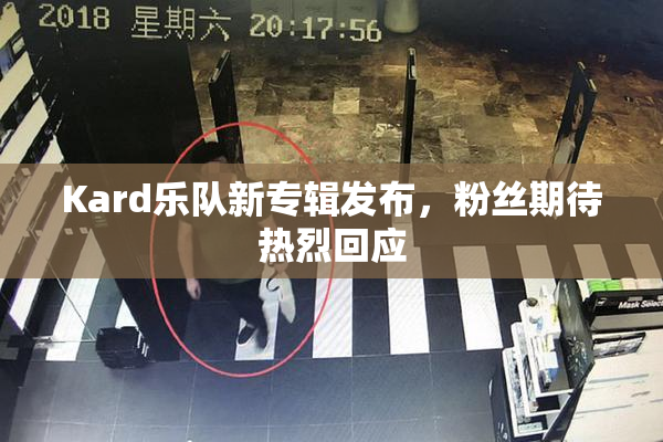 Kard乐队新专辑发布，粉丝期待热烈回应