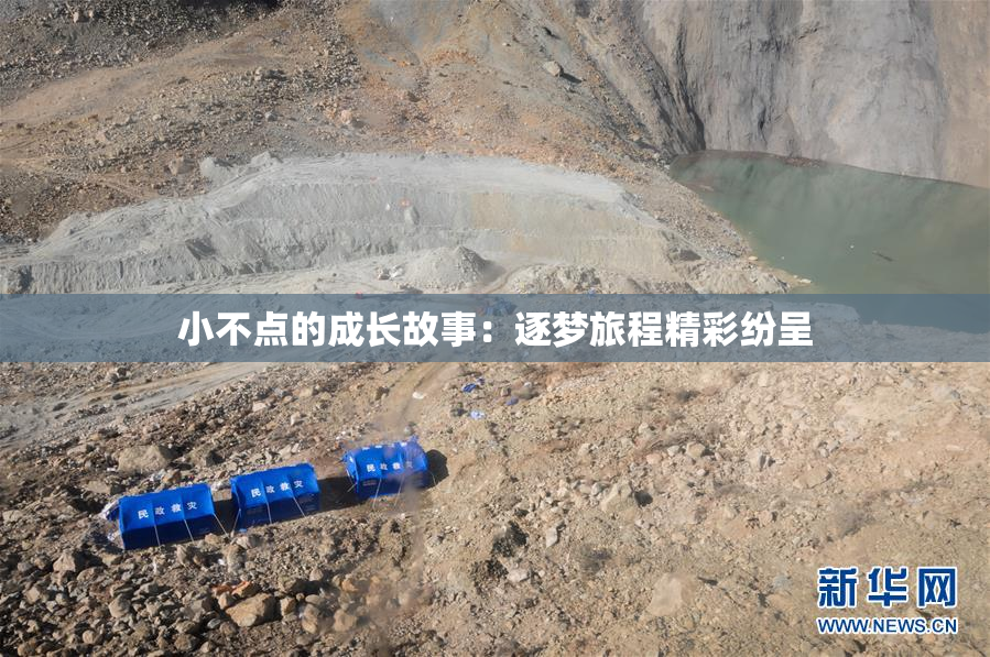 小不点的成长故事：逐梦旅程精彩纷呈
