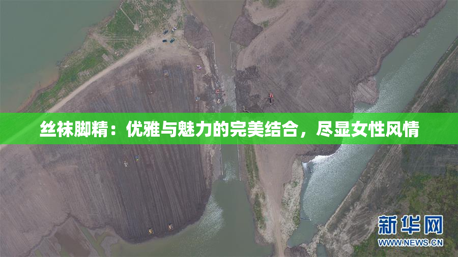 丝袜脚精：优雅与魅力的完美结合，尽显女性风情