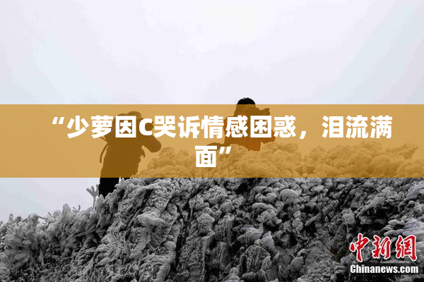 “少萝因C哭诉情感困惑，泪流满面”