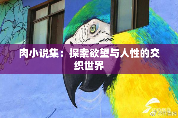 肉小说集：探索欲望与人性的交织世界