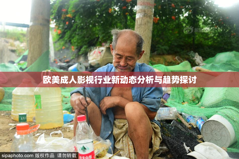 欧美成人影视行业新动态分析与趋势探讨