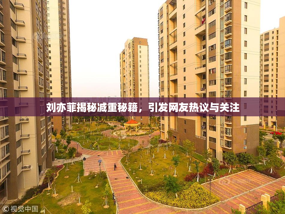 刘亦菲揭秘减重秘籍，引发网友热议与关注
