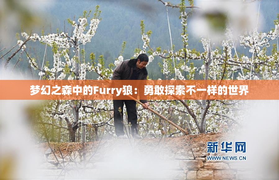梦幻之森中的Furry狼：勇敢探索不一样的世界