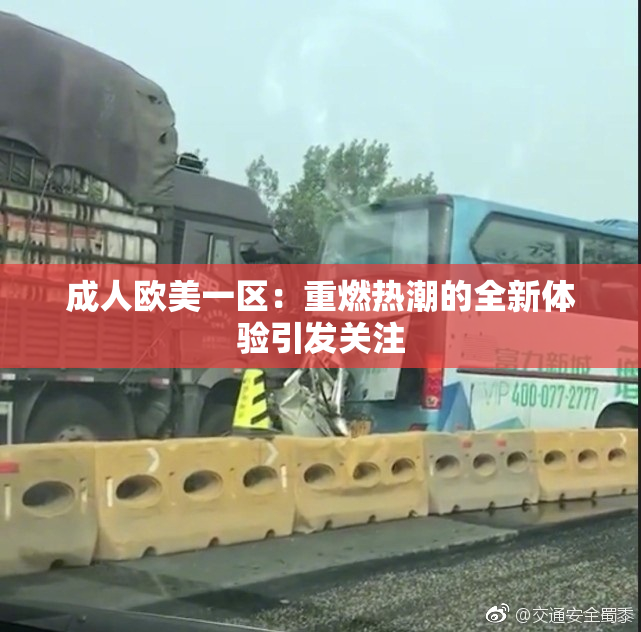 成人欧美一区：重燃热潮的全新体验引发关注