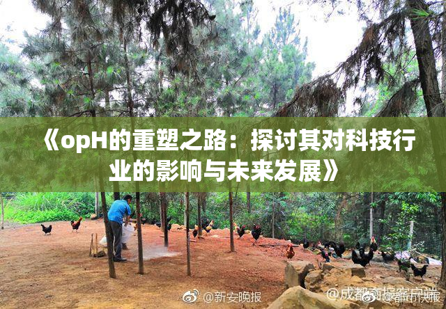 《opH的重塑之路：探讨其对科技行业的影响与未来发展》