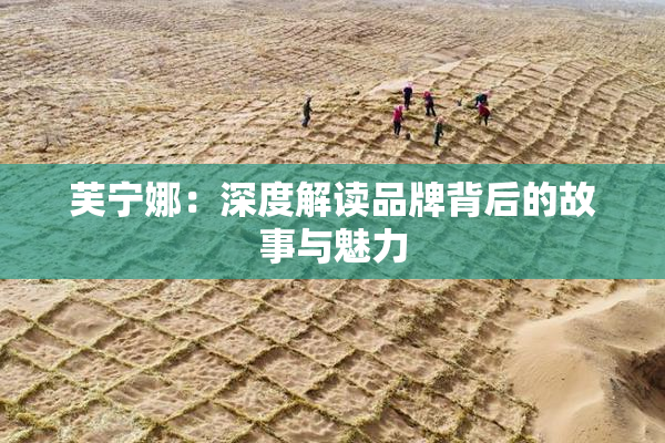 芙宁娜：深度解读品牌背后的故事与魅力