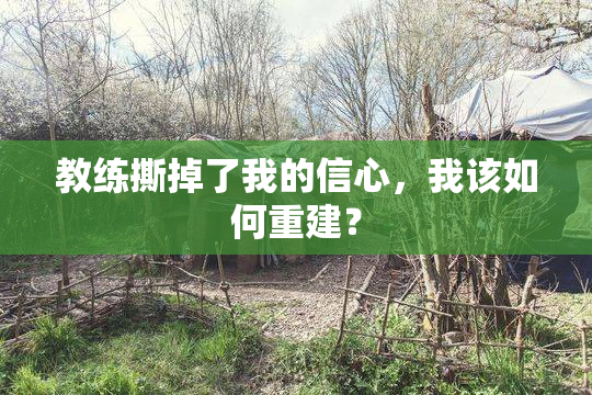 教练撕掉了我的信心，我该如何重建？