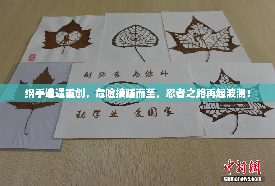 纲手遭遇重创，危险接踵而至，忍者之路再起波澜！