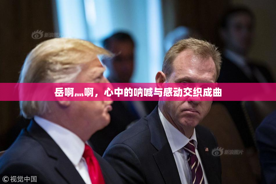 岳啊灬啊，心中的呐喊与感动交织成曲