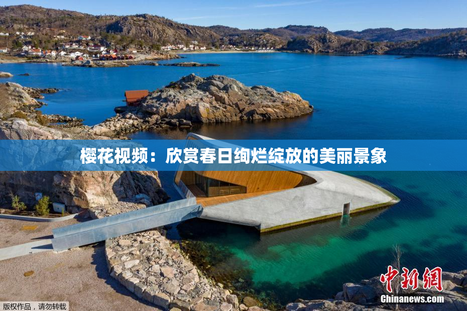 樱花视频：欣赏春日绚烂绽放的美丽景象