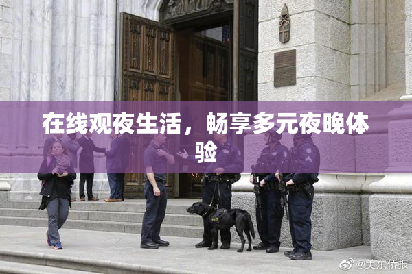 在线观夜生活，畅享多元夜晚体验